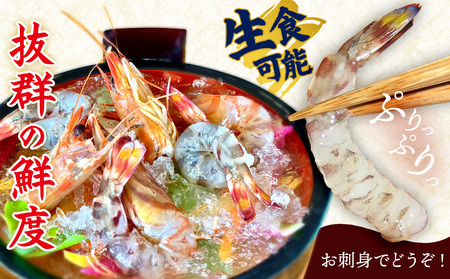 【久米総合開発】活き〆急速冷凍車海老：小500g