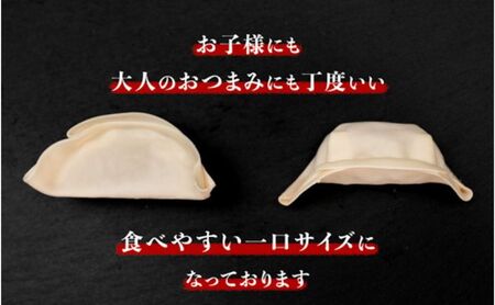 発芽にんにく餃子30個入り3パック　餃子 にんにく にんにくたっぷり 国産にんにく 発芽にんにく 冷凍 臭わない 栄養価抜群 スタミナ 免疫アップ おつまみ おかず 総菜 餃子専門店 ぎょうざ 工場直