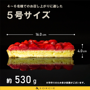 【着日指定可】クリスマスケーキ 苺 のコンポート タルトケーキ 5号 直径16cm 4人～6人分 530g 【クリスマス飾り付】 スイーツ ギフト いちご | デザート ケーキ お菓子 洋菓子 冷凍 