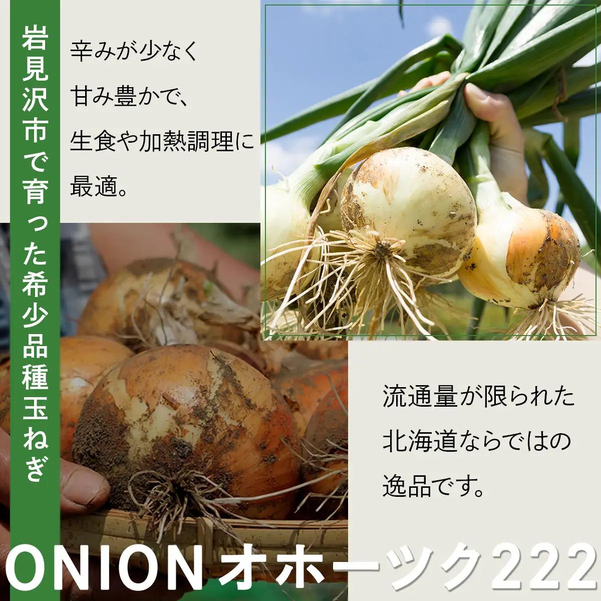 【順次配送】畑から直送の新鮮野菜！玉ねぎ（オホーツク222）20kg【a168-006-0】