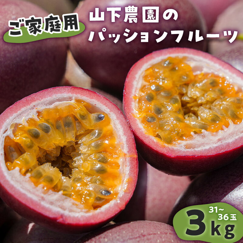 【ふるさと納税】【ご家庭用】 山下農園 の パッションフルーツ 3kg 【6月上旬〜7月上旬発送】 果物 フルーツ パッションフルーツ パッション 甘酸っぱい さわやか フレーバー 特別 食感 家庭用 自宅用 ふるさと納税 和泊町 おすすめ ランキング プレゼント ギフト