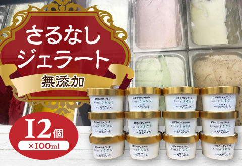 玉川村産 さるなしジェラート