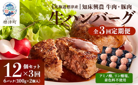 【毎月定期便】生ハンバーグ12個セット　冷凍 国産 牛肉 豚肉 ギフト 小分け 人気 全3回【配送不可地域：離島】【AC001】
