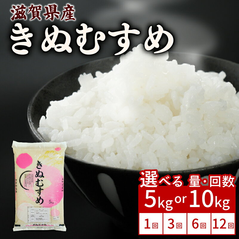 【ふるさと納税】 令和8年産 新米 きぬむすめ 5kg / 10kg 令和8年産 単品 / 定期便 選べる発送回数 3ヶ月定期便 6ヶ月定期便 12ヶ月定期便 キヌムスメ 米 精米 こめ コメ お米 ご飯 米 5キロ 10キロ 令和8年 令和8年度産 令和八年 令和八年産 滋賀 彦根