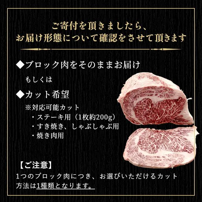 根羽こだわり和牛 ヒレ ブロック 半頭分 約3kg 黒毛和牛 ヒレステーキ ブロック肉　塊肉 塊 牛肉 国産牛 お祝い パーティ ステーキ 焼肉 BBQ 霜降り すき焼き しゃぶしゃぶ 大人数