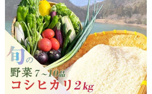 京都産 コシヒカリ2kg ＋ 旬の野菜セット 京都 佐伯の里 新鮮 野菜 7～10品 コシヒカリ2kg 新米 京都丹波・亀岡産 季節の野菜 詰め合わせ 訳あり 生活応援 コシヒカリ野菜セット 京都野菜セット 米野菜セット 新鮮野菜セット 丹波野菜セット 亀岡産野菜セット 季節の野菜セット 詰め合わせ野菜セット 米 コシヒカリ ※北海道・沖縄・離島への配送不可 ※2025年9月下旬頃より順次発送