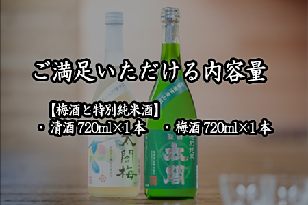 老舗蔵元飲み比べ 口当たり柔らかな梅酒と特別純米酒・SPARKLINGにごり生酒とおとなのあまざけ 女性に大人気のセット コラボ