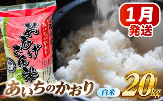 米 【1月発送】あいちのかおり 白米 20kg 米 お米 20kg 20キロ 白米 精米 新米 コメ ご飯 ごはん 愛知県産 国産 県産米 国産米 あいちのかおり 発送 時期 選べる 産地直送 大容量 令和7年 愛西市 / 脇野コンバイン [AECP003-4]