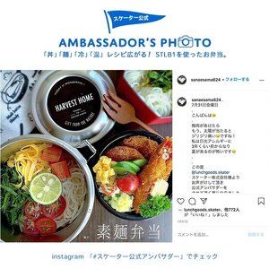 抗菌 真空 保温 保冷 [弁当箱 ステンレス] 総容量 1050ml メンズ 男性 STLB3AG スケーター ベーシック シンプル ランチ ボックス 縦型 タイプ 大容量 保温弁当箱 保温ジャー ラ