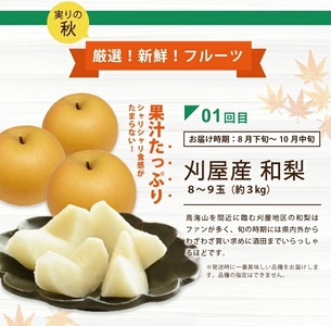 SE0221　【3回定期便】酒田から秋のフルーツ定期便2024 (刈屋梨、庄内柿、ラ・フランス)