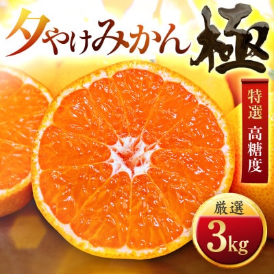 【甘みが濃縮されたみかん】愛媛で育った夕やけみかん【極】3kg(小玉)【C49−26】【1508878】