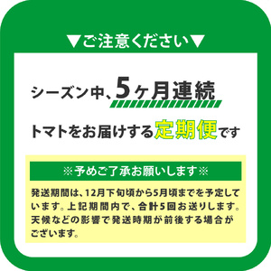 【ふるさと納税】〈2026年12月下旬～順次発送〉訳あり 5回 定期便 フルーツトマト 原田農園＜1.6kg 箱入＞【先行予約受付中】桃太郎 【常温】送料無料 家庭用 ワケあり 変形 キズあり 高知県