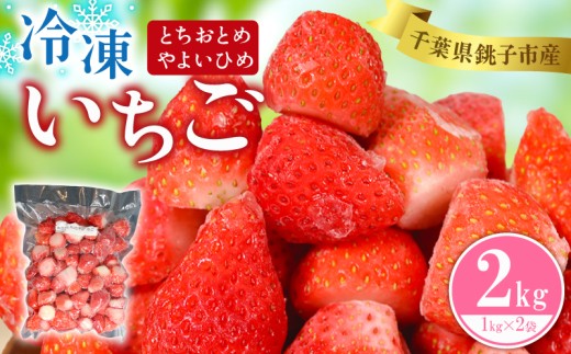 冷凍いちご 2kg ( 1kg × 2袋 ) とちおとめ やよいひめ 銚子 苺 いちご 真空パック 冷凍 フルーツ ジャム いちごジャム ストロベリー スムージー アサイー ゼリー ケーキ いちご大福 フルーツサンド ショートケーキ ふるさと納税 ふるさと納税いちご strawberry 新鮮 朝摘み 朝採り 産直 産地直送 ギフト ichigo itigo 送料無料 千葉県 銚子市 神原いちご園