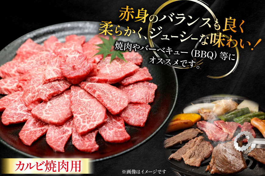 牛肉 宮崎牛 カルビ 焼肉用 500g 2p 計 1kg [ローカルブランディング 宮崎県 日向市 452061414] 冷凍 小分け 黒毛和牛 黒毛 A4 A5 焼肉 焼き肉 BBQ バーベキュー 
