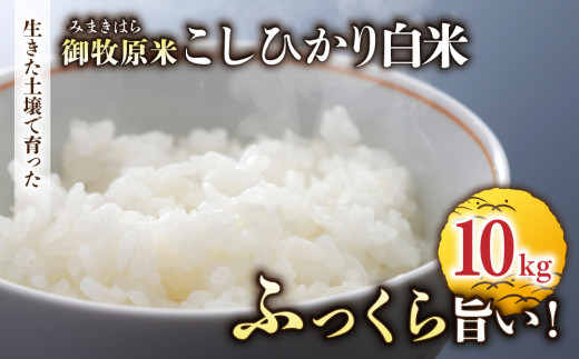 【先行受付2026年発送】長野県産！生きた土壌で育った御牧原米こしひかり 白米（八分づき・令和8年産）　10kg（5kg×2袋）｜里山JAPAN　※2026年10月上旬以降に発送予定