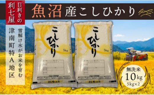 【令和8年産先行予約】【6ヶ月定期便】【魚沼産コシヒカリ 無洗米 10kg（5kg×2袋）×全6回】 雪解け水がお米を育む、津南町特A地区の美味しいお米。| 新潟産コシヒカリ 新潟県産コシヒカリ 魚沼