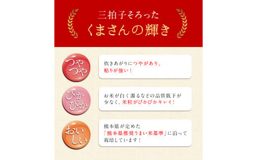 令和5年産 矢護川清流そだち(くまさんの輝き) 2kg 大津町矢護川おいしい米作り研究会   大津町《60日以内に出荷予定(土日祝除く)》---so_ygsdc3_60d_21_7500_2kg---