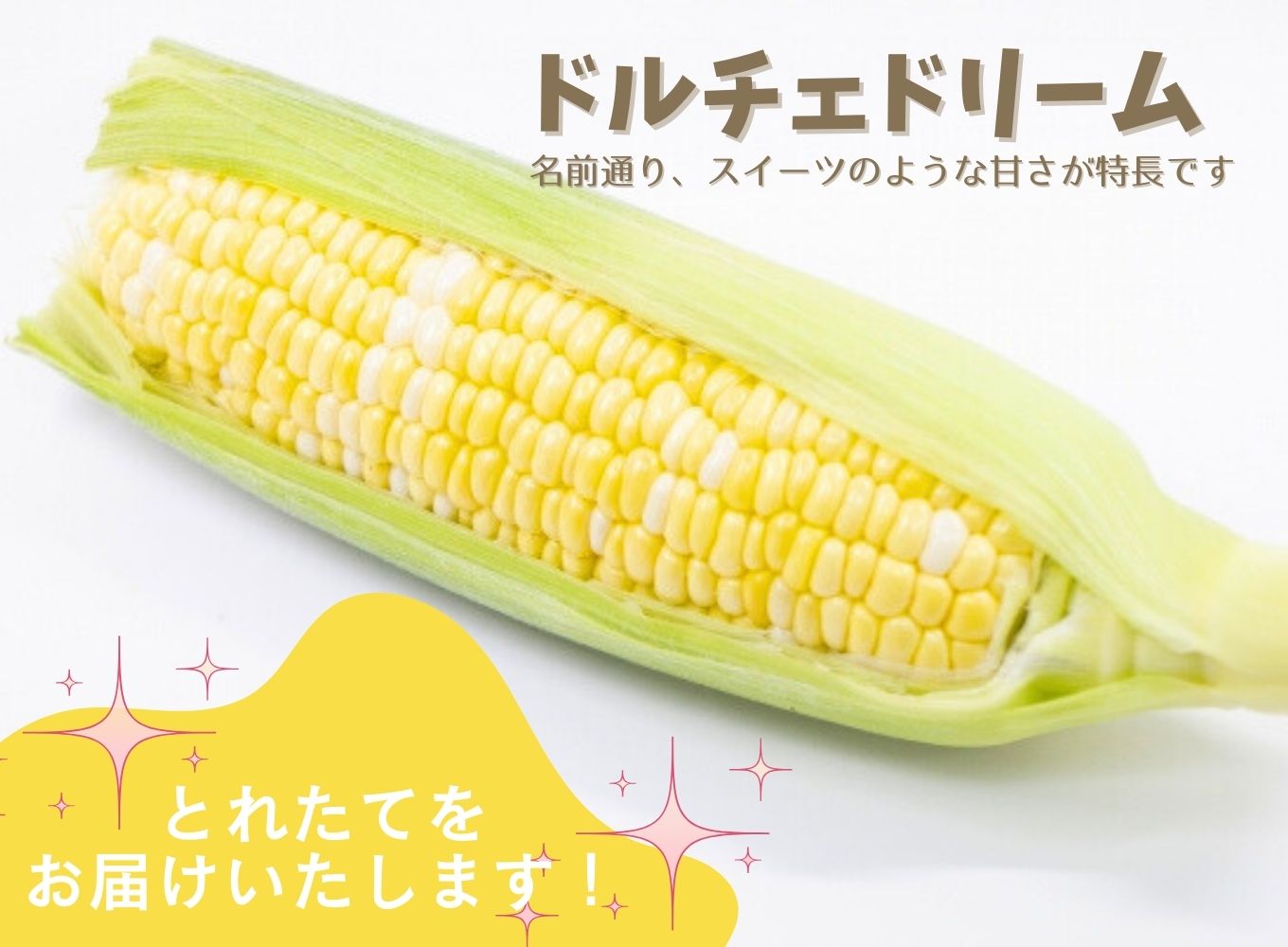 市川三郷町産とうもろこし　ドルチェドリーム A品2Lサイズ 6本入り 【2025年6月上旬から発送】　塩島和誌農園[5839-2178]
