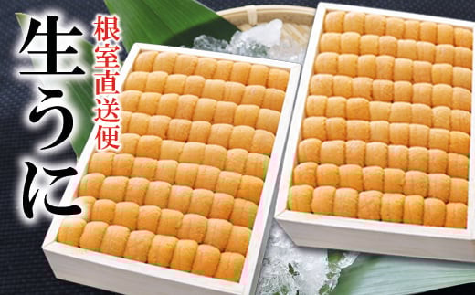 D-71046 エゾバフンウニ並べ詰め150g×2折[2026年3月中旬以降発送]