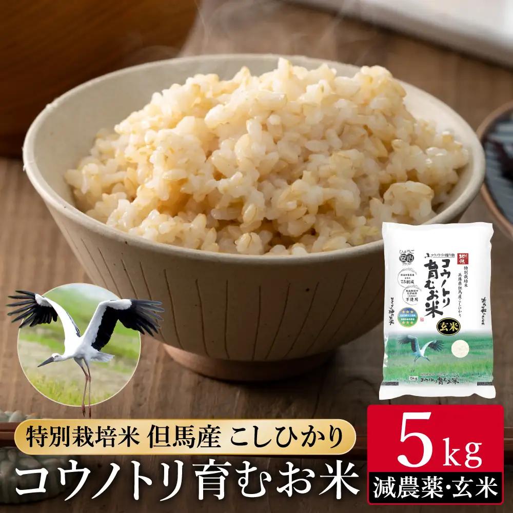 令和7年産 減農薬 特別栽培米 コウノトリ育むお米 玄米 5kg（5kg×1袋）