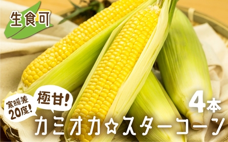 《先行予約》《期間・数量限定》まるでフルーツ！特別栽培トウモロコシ　激甘！極旨のスーパースイート系トウモロコシ「カミオカ☆スターコーン」令和7年産 ４本お届け[Q2979_25] syun90