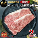 【ふるさと納税】都城産宮崎牛サーロイン鉄板焼き用 - 150g×2枚セット A4ランク 国産黒毛和牛 柔らかい肉質でとろける美味しさ 肉のながやま 鉄板焼き用ステーキ肉 ビーフステーキ 冷凍 送料無料 MJ-2507 【宮崎県都城市は2年連続ふるさと納税日本一！】