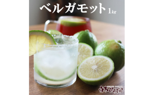 【先行予約】＜果樹園直送＞ 白木果樹園産 ベルガモット 約1kg 1キロ 5～8個入り〈2026年10月下旬～12月下旬頃発送〉  /  果物 くだもの 果実 柑橘類 柑橘 爽やか フレッシュ 新鮮 デトックスウォーター【白木果樹園】 [BQAI044]
