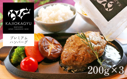 梶岡牛 プレミアムハンバーグ ｜ 牛肉 肉 にく お取り寄せ グルメ ハンバーグ 冷凍 特産品 長期飼育 熟成 惣菜 山口 美祢市 美祢