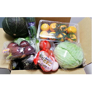 【ふるさと納税】まんさいかん野菜詰合せ セット