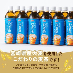 サンA宮崎のむぎ茶　500ml PET×18本 【 飲料 お茶 麦茶 宮崎県産 ペットボトル 】