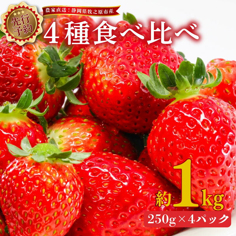 【ふるさと納税】 いちご 4種 食べ比べ セット 1kg 2027年2月上旬発送予定 250g × 4パック 産地直送 苺 果物 ストロベリー スターナイト 紅ほっぺ 章姫 きらぴ香 かおり野 朝採れ ギフト プレゼント 季節限定 新鮮 牧之原いちご 静岡いちご 牧之原市 静岡県 ヤマセン