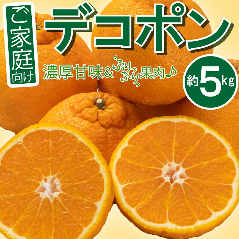 【ふるさと納税】ご家庭向け！濃厚甘味「デコポン」 約5kg FAH-0143