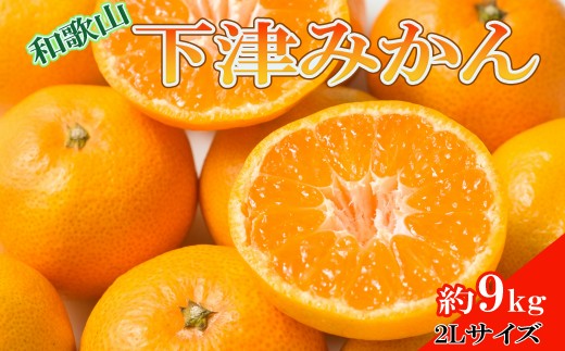 
                  【産直・秀品】和歌山下津みかん　9kg(2Lサイズ) ※2026年11月中旬～2027年1月中旬頃に順次発送【tec869A】
                