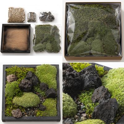 ふるさと納税 山形市 苔箱庭制作キット FZ21-465 |  | 01