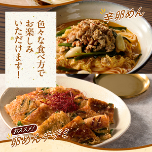 【名産食べ比べ】 ぶっかけ卵めんとカレー卵めんの詰め合わせ 2人前×各2袋 岩手名産 素麺[K0013] 