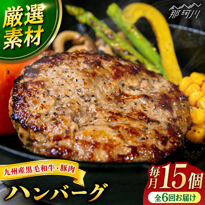 【ふるさと納税】【全6回定期便】九州産黒毛和牛と九州産豚肉 ハンバーグ 15個セット＜なかがわ市場 うしじま＞那珂川市 |[GAR012] 170000 17万円 以下