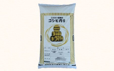 匝瑳市産　コシヒカリ　精米　10kg ／ 米 こめ コメ コシヒカリ こしひかり 10kg 産地直送