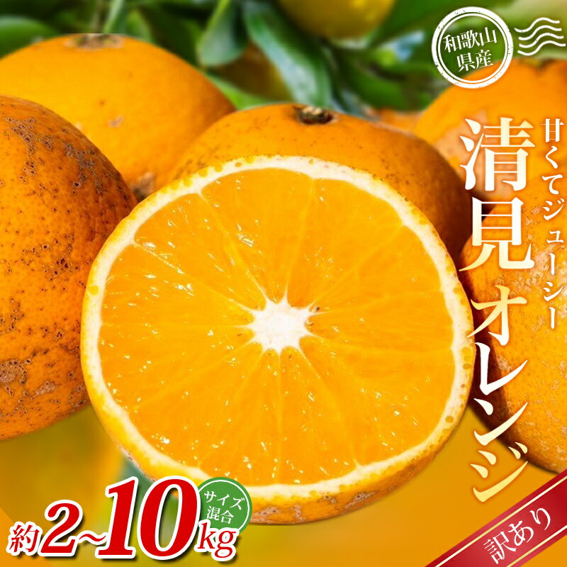 【ふるさと納税】 訳あり 清見 オレンジ / 手選別 みかん きよみ 甘い 和歌山 わけあり 【選べる容量】約2kg・6kg・8kg・10kg サイズ混合 ※2026年2月上旬～5月中旬頃に順次発送