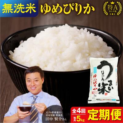 ふるさと納税 雨竜町 【定期便全4回】 うりゅう米 ゆめぴりか 無洗米 5kg(5kg×1袋)毎月1回お届け