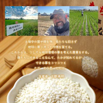 ふるさと納税 足利市 のりちゃん米 もち米(きぬはなもち)2kg<栽培期間中 農薬・肥料不使用> |  | 03