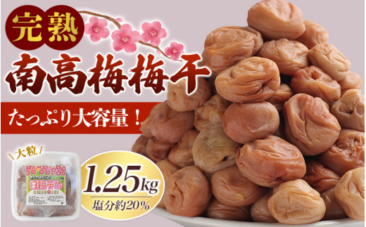 梅干し 無添加 完熟南高梅 1.25kg 塩分約20％ 数量限定 サイズ混合 高評価 ご家庭用 梅干 梅 うめ ウメ 梅干 白干 白干し 白梅 白梅干し 人気 健康 ご飯のお供 お取り寄せ 予約 和歌