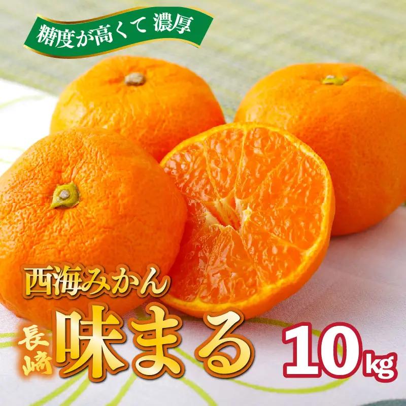 【 早期受付 】西海みかん 味まる 10kg 糖度12度以上 ブランドみかん 佐世保 【 11月発送 】
