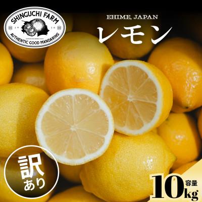 ふるさと納税 八幡浜市 【皮まで食べられる】五代目が厳選!訳ありレモン 10kg 防腐剤・ワックス不使用【F70-23】