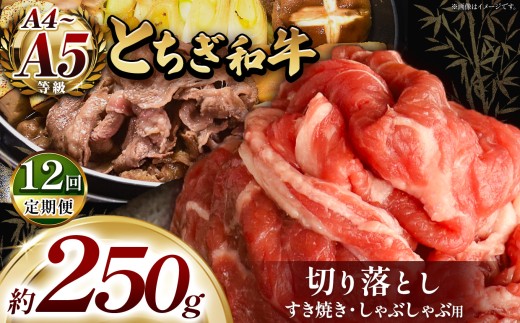 【定期便12回】とちぎ和牛 すき焼き・しゃぶしゃぶ用 切り落とし 250g | 栃木県共通返礼品 ご褒美 プレゼント 贈答 おいしい 和牛 肉 おにく 特別 人気 お取り寄せ 栃木県 真岡市
