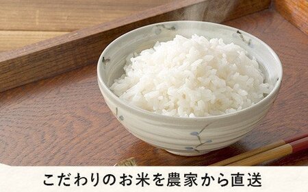 米 こしひかり 10kg × 6回 【 6か月 定期便 】( 令和7年産 ) 2025年10月上旬頃から順次発送予定 米澤商店 コシヒカリ 白米 精米 長野県 飯綱町 [1246]