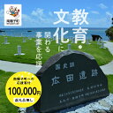 【ふるさと納税】鹿児島県 南種子 の 教育・文化を応援 （返礼品なし） 100000円 寄附のみ 申込みの方 返礼品 南種子町 鹿児島 かごしま 【南種子町】