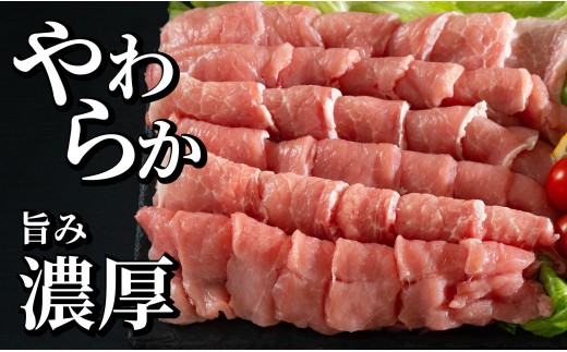 [B597］ 長崎県産豚 ロース焼肉用計1kg (500g×2)