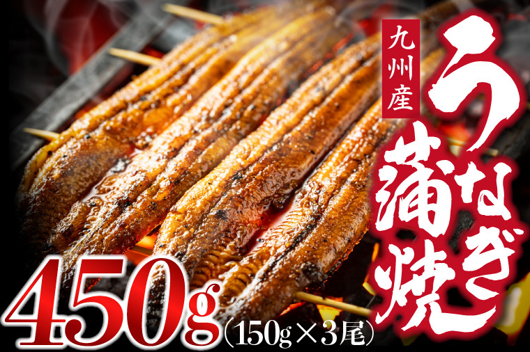 
            うなぎ蒲焼 国産 150g × 3尾 (有頭) 蒲焼き ウナギ 鰻 鹿児島県産 人気 オススメ 宮若市 M686
          