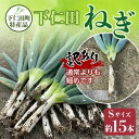 【ふるさと納税】訳あり（家庭用）下仁田町特産「下仁田ねぎ」Sサイズ15本 とろける 甘い ねぎ ネギ 葱 王様ねぎ 殿様ねぎ 特産 栄養たっぷり ブランド 上州ねぎ すきやき F21K-184