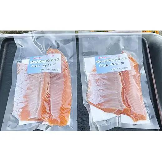 産地直送栃木県のブランド魚「プレミアムヤシオマス」の刺身 800g (200g×4パック)  [ 冷凍便 ] | 魚 ます 養殖 産地直送 栃木県
